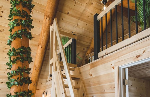 Saint-Philemon Cabine | BIENVENUE DANS LA JUNGLE - CHALET EN BOIS ROND