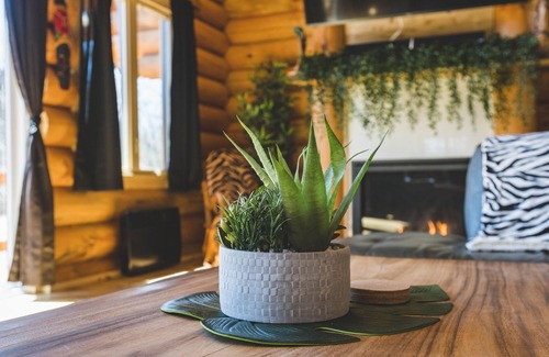 Saint-Philemon Cabine | BIENVENUE DANS LA JUNGLE - CHALET EN BOIS ROND