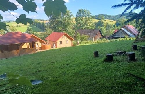 Baligrod Appartement | BIESZCZADZKA Antosiówka