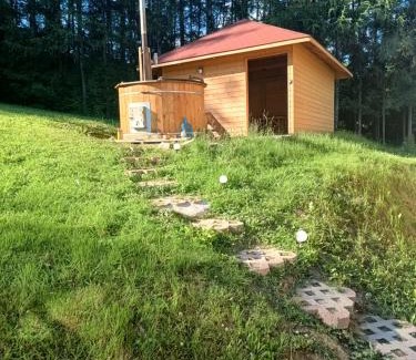 Baligrod Appartement | BIESZCZADZKA Antosiówka