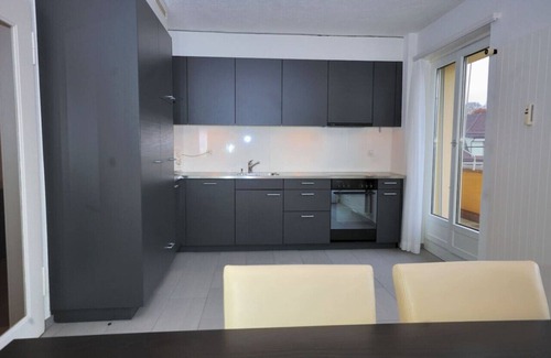 Muhlebach Appartement | Big 1BR apartment in the center (Mill 3.55)