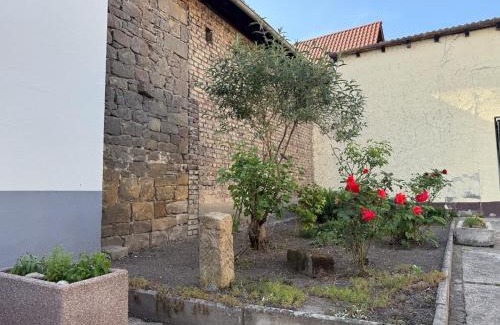 Neustadt-Geinsheim Maison | Big Apple House - 3 bedrooms with Promotion for longer stay