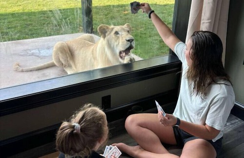 Town of Sullivan Maison | Big Cat Bungalows at The Haven - Lion 4