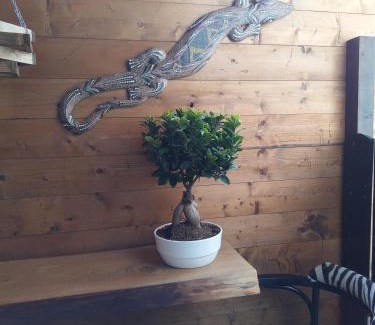 Terracina Lit Et Petit-Déjeuner | Big Mama Jungle Rooms