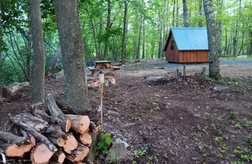 Mount Storm Cabine | Big Rock Camping Cabin 1