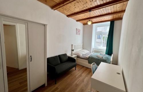 Schottenfeld Appartement | Big Space Apartment