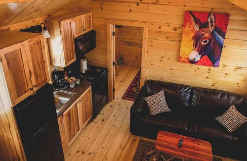 Amarillo Cabine | Big Texan Cabins Summ
