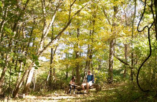 Athens Maison | Biker Hiker friendly 3 bedroom by Strouds Run State Park