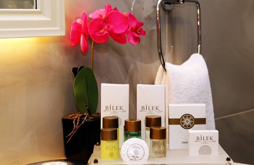 Sanayi Mahallesi Hôtel | Bilek Istanbul Hotel
