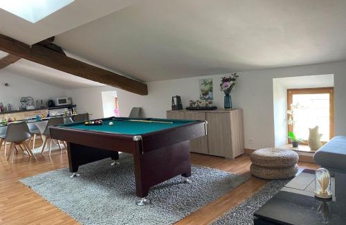 Socourt Appartement | Billard Lounge loft détente avec Billard & Netflix by BoookingFuté
