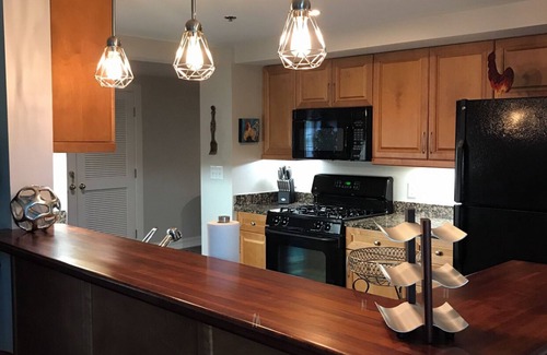 Asheville Villa | Biltmore Hideaway