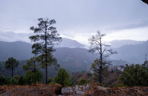 Binsar Appartement | Binsar View Boutique Room l Mountain Hideout