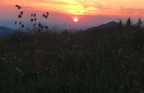 Krispl Appartement | Bio Bergbauernhof Reitlhof - Appartement Schmittenstein