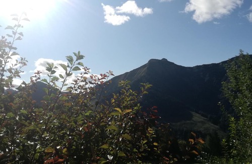 Krispl Appartement | Bio Bergbauernhof Reitlhof - Appartement Schmittenstein