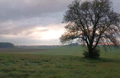 Soechtenau Maison | Bio Kinder Erlebnis Bauernhof Voit