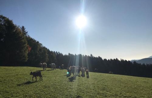 Monichwald Maison | Biobauernhof Höllerbauer