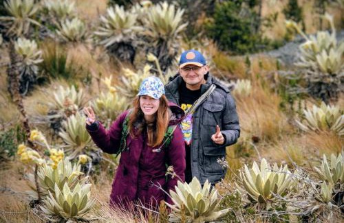 Tausa Cabine | Biofilia Colombia