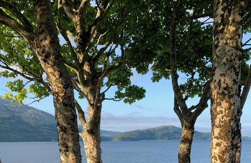 West Laroch Cabine | Birch Cabin: Your Elevated Haven Amidst Sea & Mountain Views