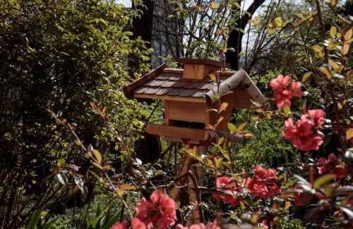 Szentimrevaros Appartement | Birdnest Apartment