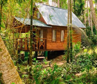 Wanchawala Cabine | Birds Bliss Cabana