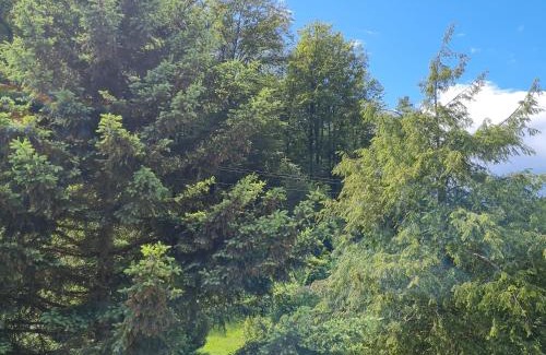 Darstein Maison | birds-nest Ferienhaus Balkon Waldblick Kamin