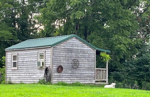 Williamsburg Cabine | Birdsong cabin