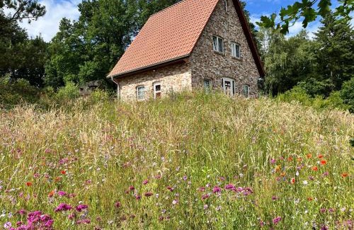 Bispingen Maison | Bispinger-Heidezauber-Haus-Felsenbirne