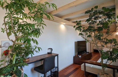 Shimotsuma Maison | BITOKENKOUNOMACHI COSMIC TOWN