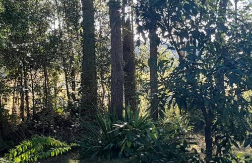 Nimbin Appartement | Bitolovo The Blue House