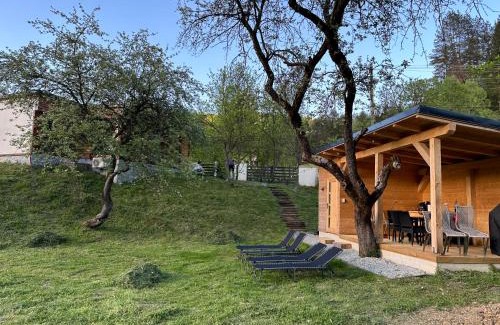 Viseu de Sus Maison | Biutiful Bungalow
