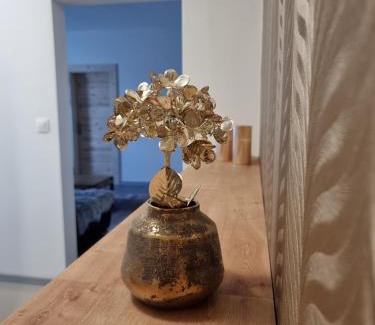 Banska Stiavnica Appartement | BIVIO apartment Dolná