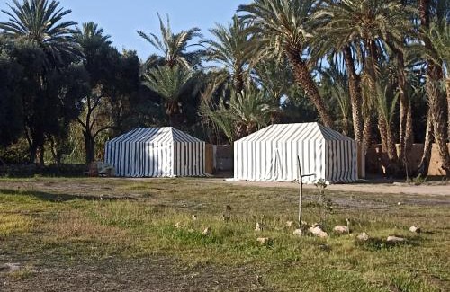 Ouijjane Autre | BIVOUAC Sous Les Palmiers Bleus