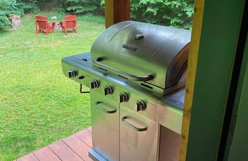 Inlet Cabine | Ours noir qui traverse Adirondack Cabin