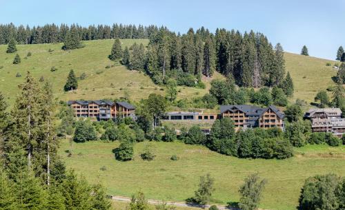 Feldberg Appartement | Black Forest Lodge