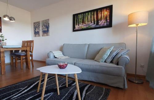 Schonach im Schwarzwald Appartement | Black Forest Schwarzwaldliebe Pool Sauna Tennis Tischtennis Wifi Netflix Natur