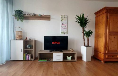 Schonach im Schwarzwald Appartement | Black Forest Schwarzwaldliebe Pool Sauna Tennis Tischtennis Wifi Netflix Natur