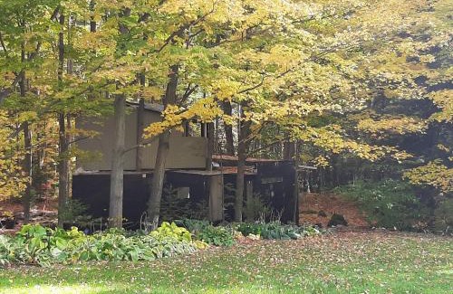 Milton Maison | Black Pine Tree House