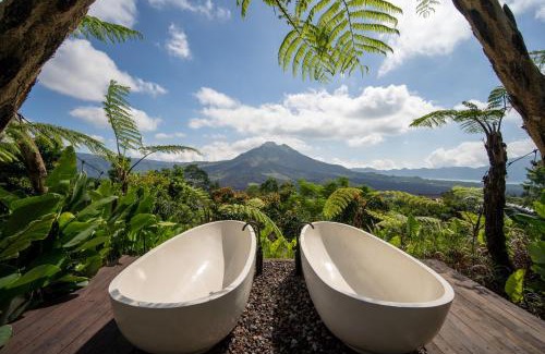 Kintamani Hôtel | Black Wood Cabin