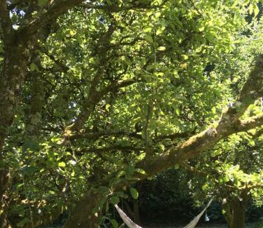 Kilgreaney Autre | Blackstairs Shepherds Huts