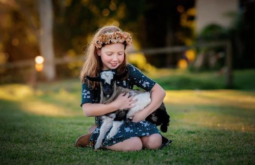 Beerwah Maison | Blackwattle Farm