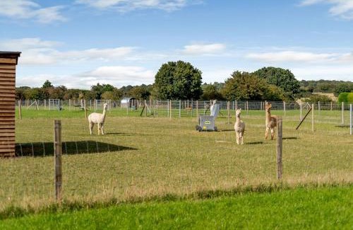 Ipswich Maison | Blackwell Barn