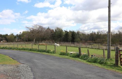 Shotts Maison | Blairmains Guest House