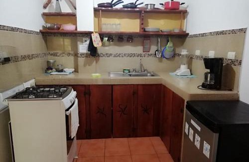 Montezuma Maison | Blanconejo de Montezuma