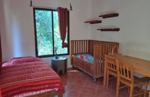 Montezuma Maison | Blanconejo de Montezuma
