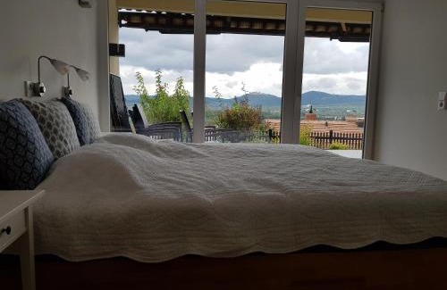 Krems an der Donau Appartement | Blick über Krems mit Terrasse