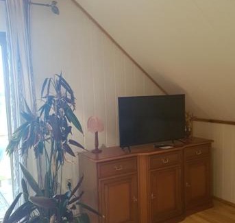 Laasow Appartement | Blick zum See