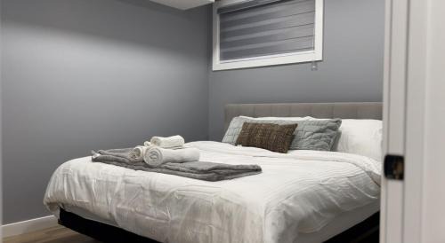 Southwest Edmonton Appartement | Blissful Nest - Cozy, Classy 2 Bedroom Private Suite Netflix, free Parking, 20 minutes to West Edmonton Mall and Airport