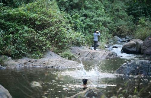 Vayittiri Autre | BLUE CREEK resort
