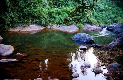Vayittiri Autre | BLUE CREEK resort