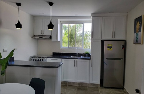 Santiago de los Caballeros Appartement | Blue Mountain View